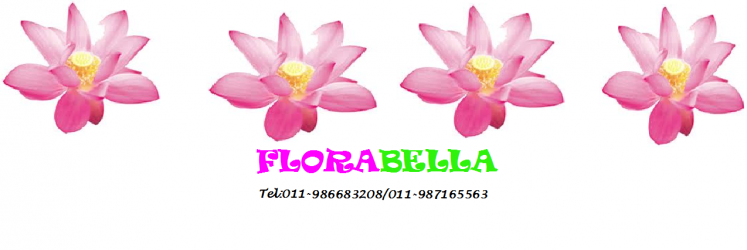 Flora Bella